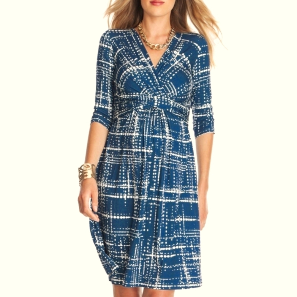 Seraphine  Aanya maternity dress US 4, fits US 6 and US 8 - Picture 2 of 5